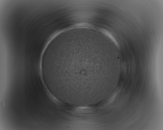 X0000093161482200710031437