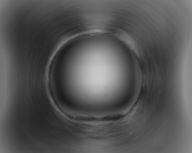 X0000093161483200710031437