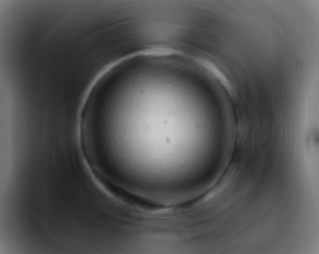 X0000093161484200710031437