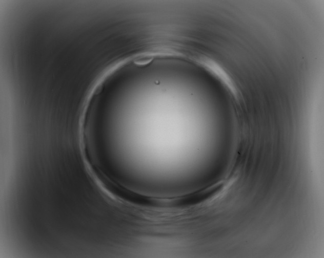 X0000093161485200710031437