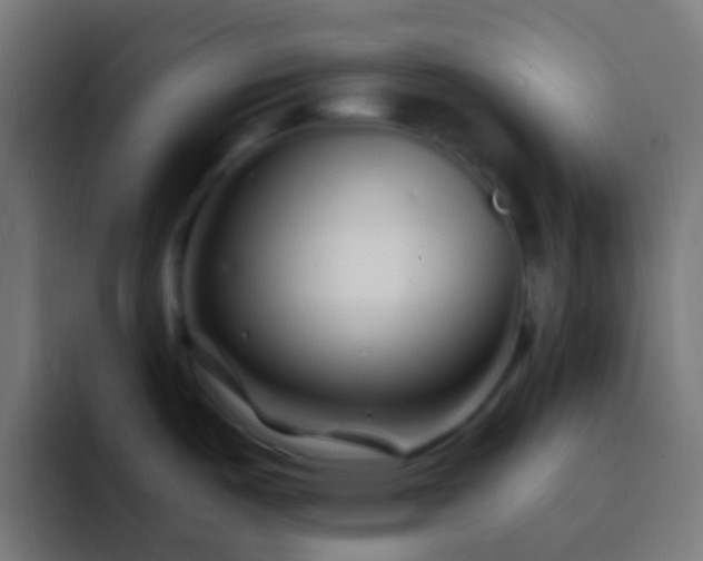 X0000093161487200710031437
