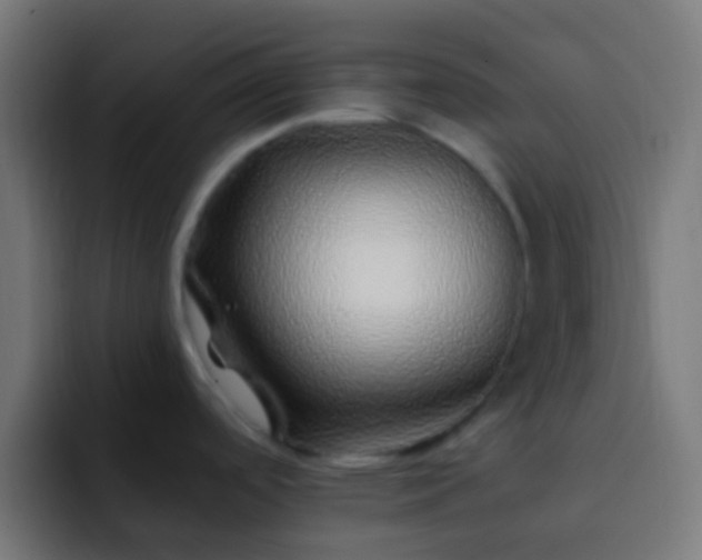 X0000093161488200710031437