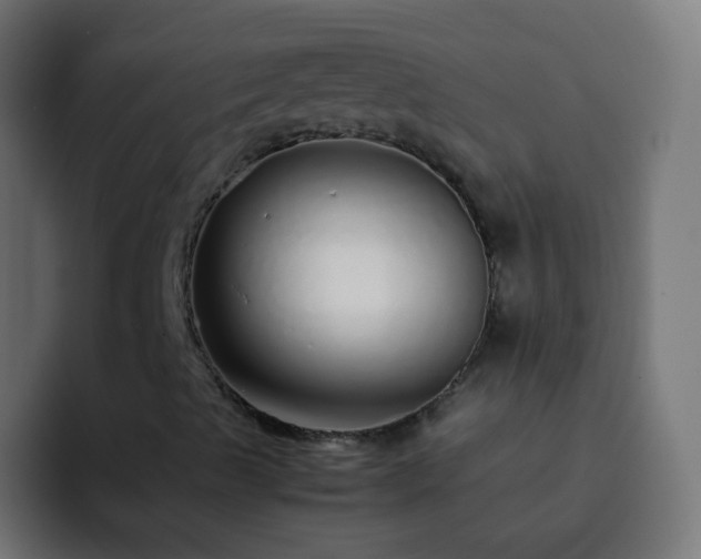 X0000093161489200710031436