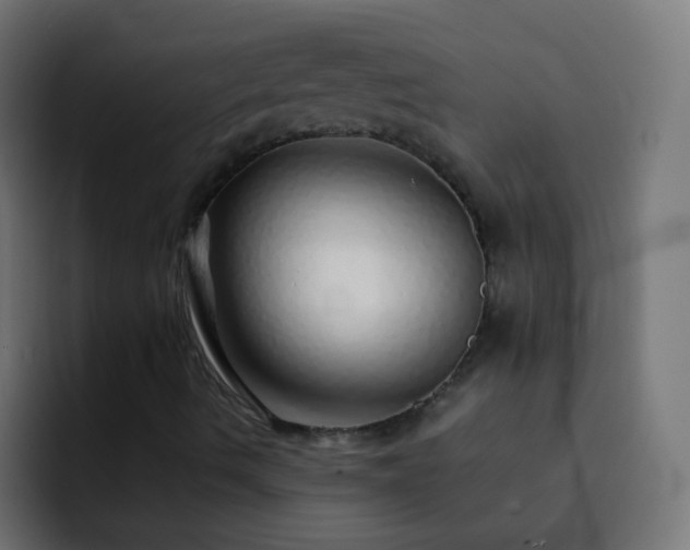 X0000093161490200710031436