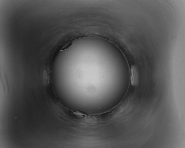 X0000093161491200710031436