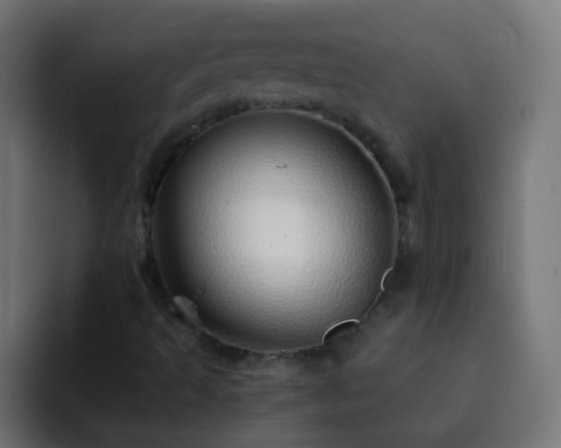 X0000093161493200710031436