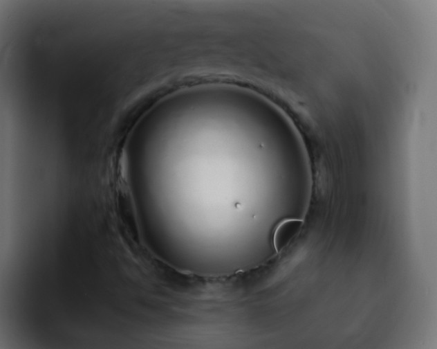 X0000093161494200710031436