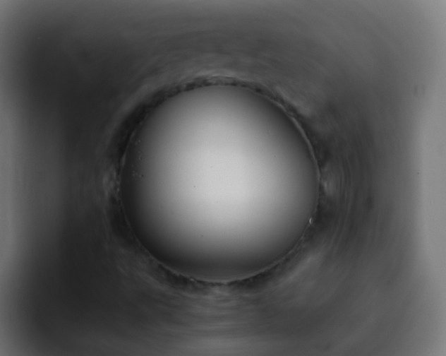 X0000093161495200710031436