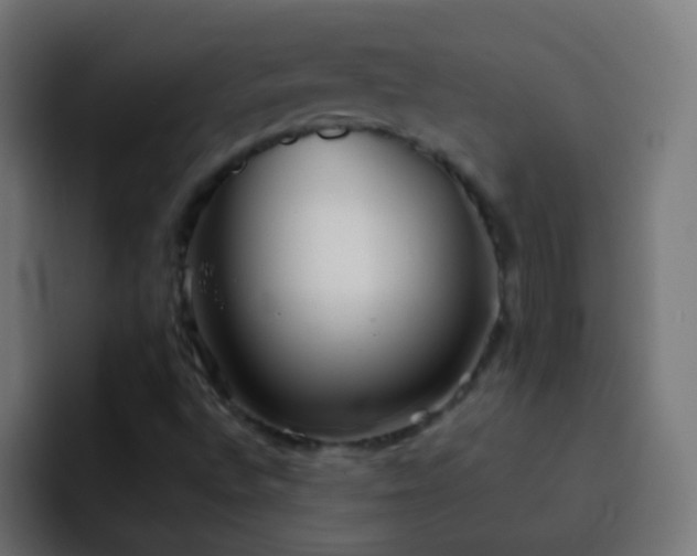 X0000093161496200710031436