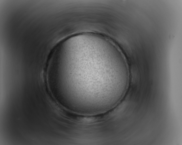 X0000093161497200710031436