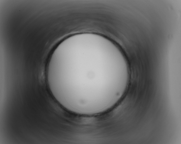 X0000093161498200710031436