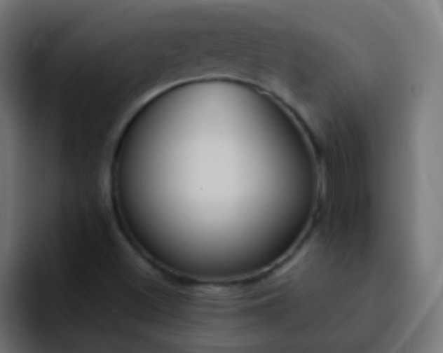 X0000093161500200710031436