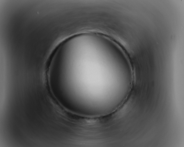 X0000093161501200710031436
