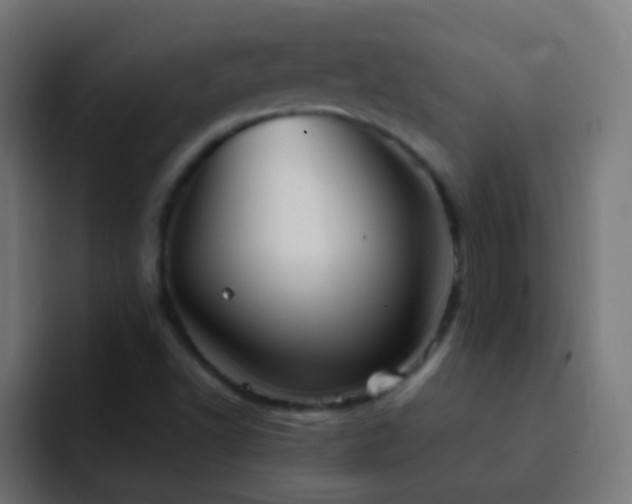 X0000093161502200710031436