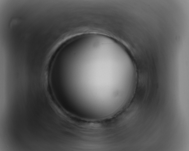 X0000093161503200710031436
