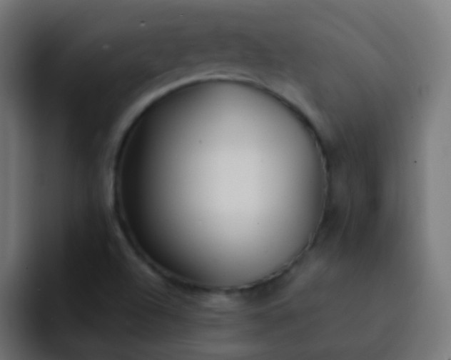 X0000093161504200710031436
