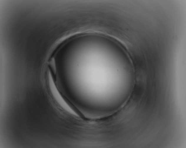 X0000093161507200710031436