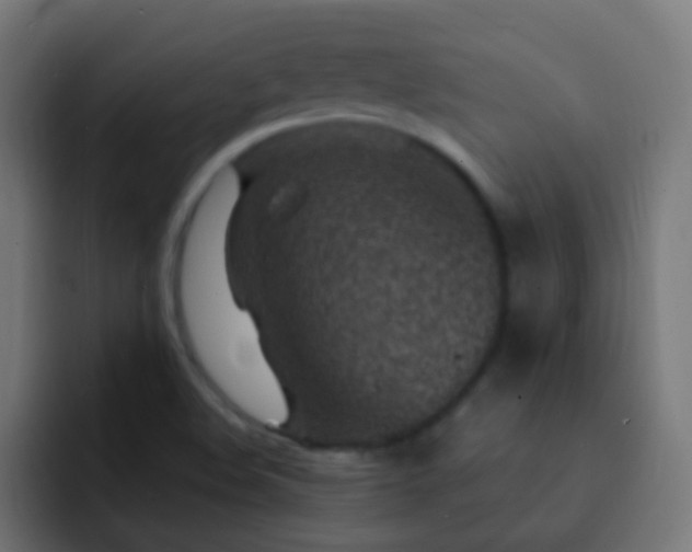 X0000093161508200710031436