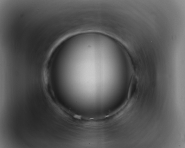 X0000093161510200710031436