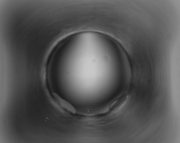 X0000093161511200710031436