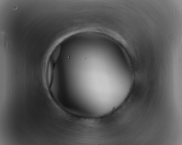 X0000093161512200710031436