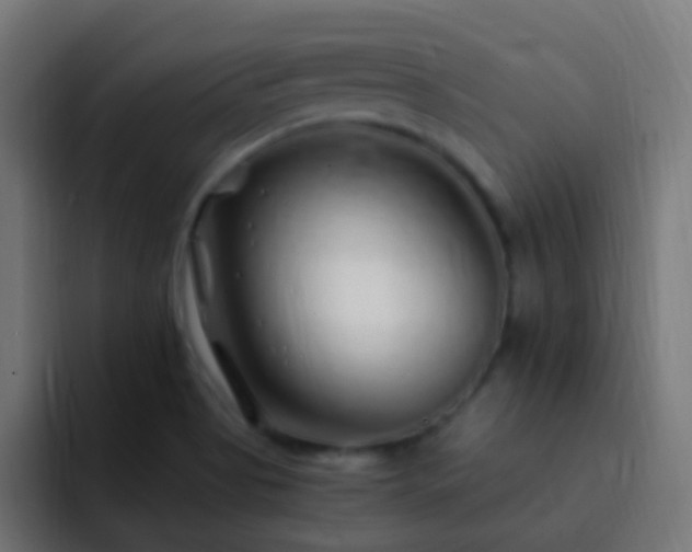 X0000093161513200710031436