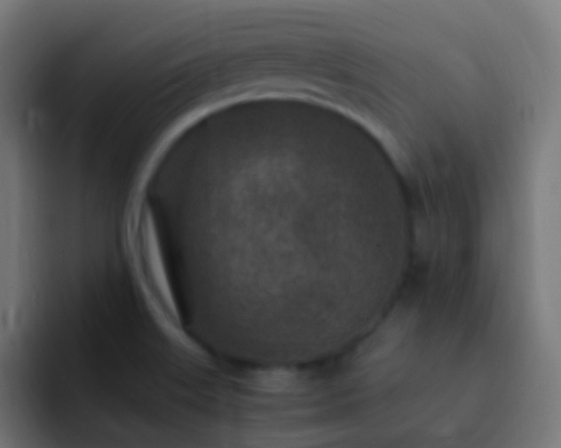 X0000093161515200710031436