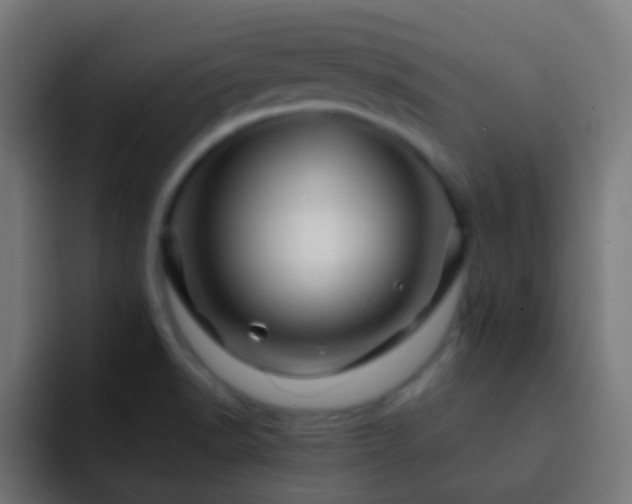 X0000093161518200710031436