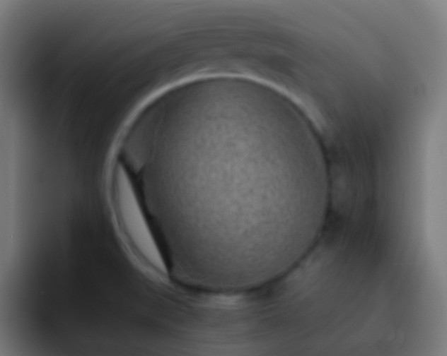 X0000093161519200710031436
