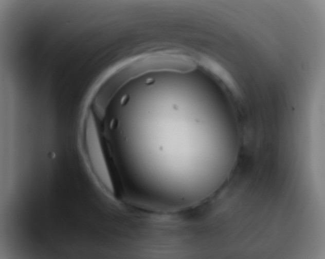 X0000093161520200710031436