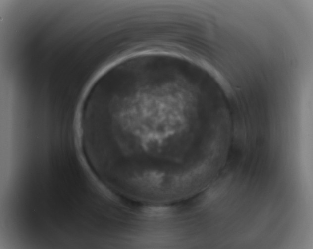X0000093161522200710031436
