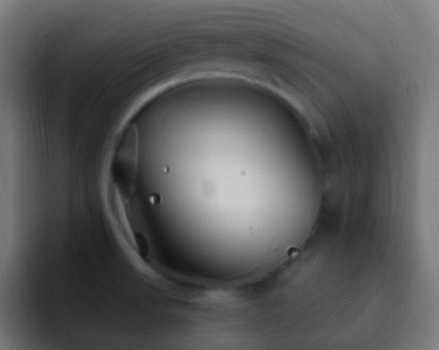 X0000093161523200710031436