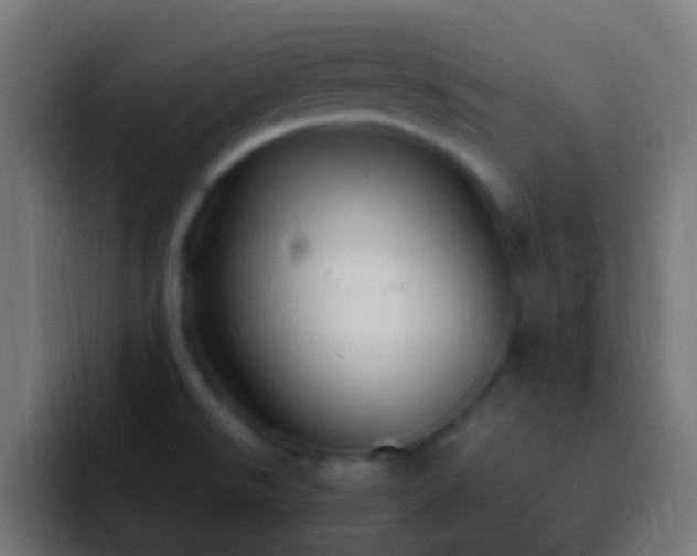 X0000093161526200710031436