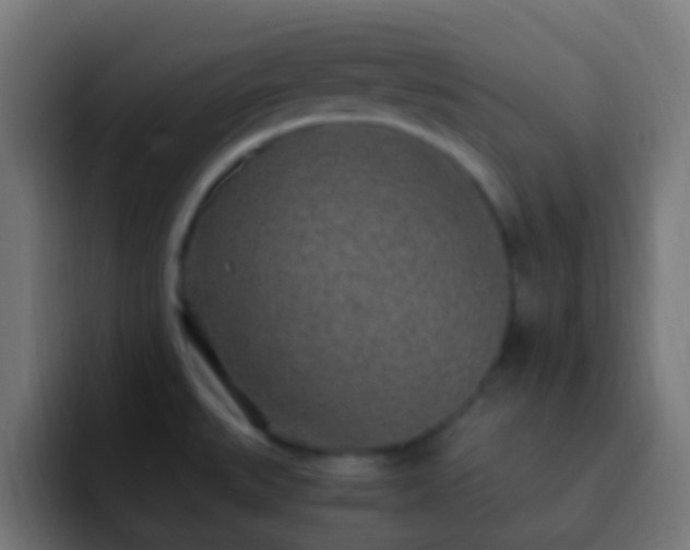 X0000093161527200710031436