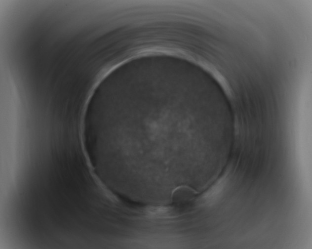 X0000093161529200710031437