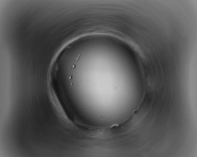 X0000093161530200710031437