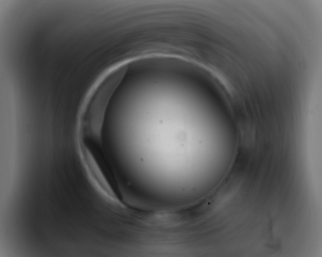 X0000093161531200710031437
