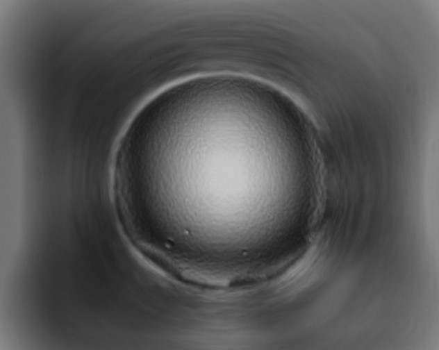 X0000093161535200710031437