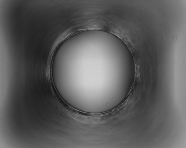 X0000093160004200710101202