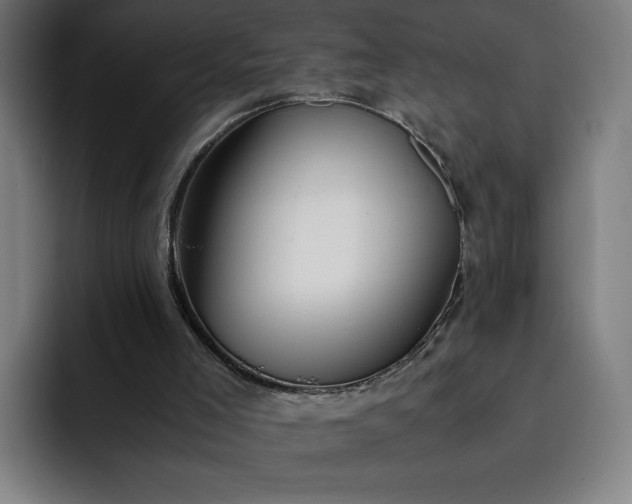X0000093160005200710101202