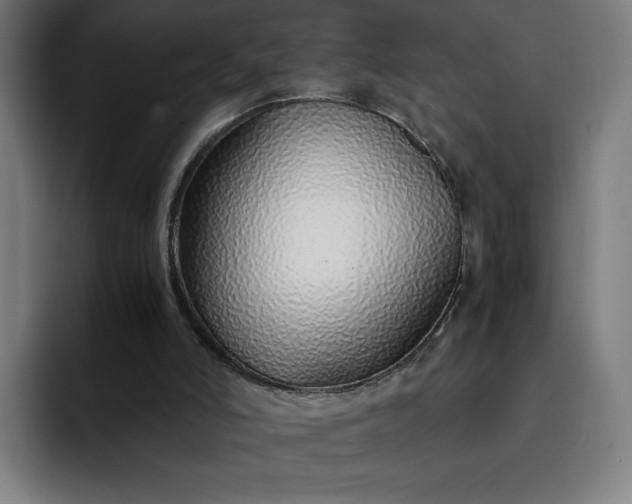 X0000093160006200710101202