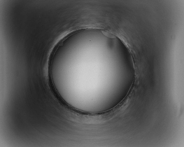 X0000093160008200710101202
