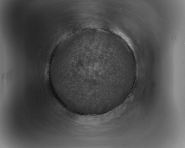 X0000093160009200710101202