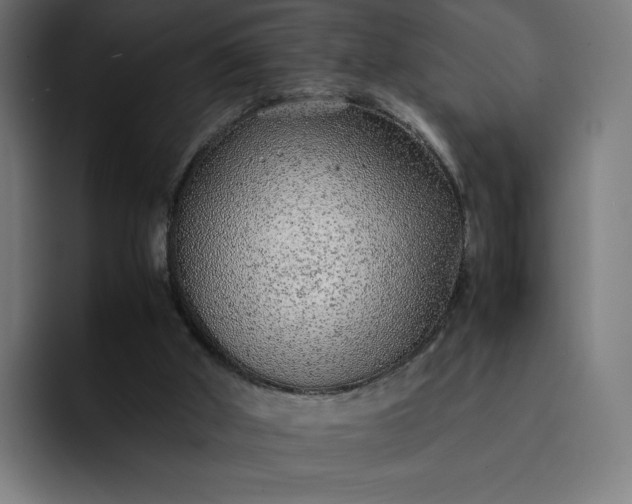 X0000093160010200710101202