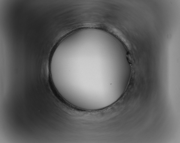 X0000093160011200710101202