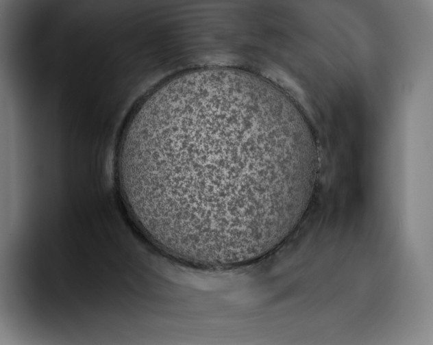 X0000093160012200710101202