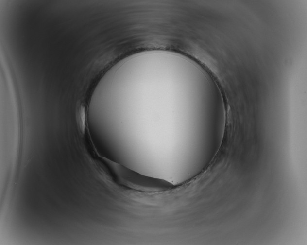 X0000093160013200710101202