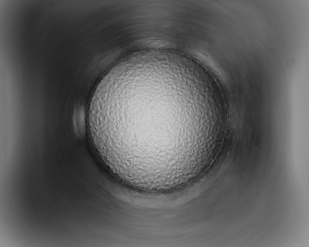 X0000093160014200710101202