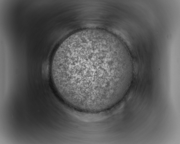 X0000093160016200710101202