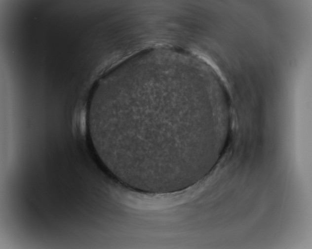 X0000093160019200710101202